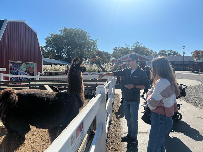 Company Retreat Petting Zoo